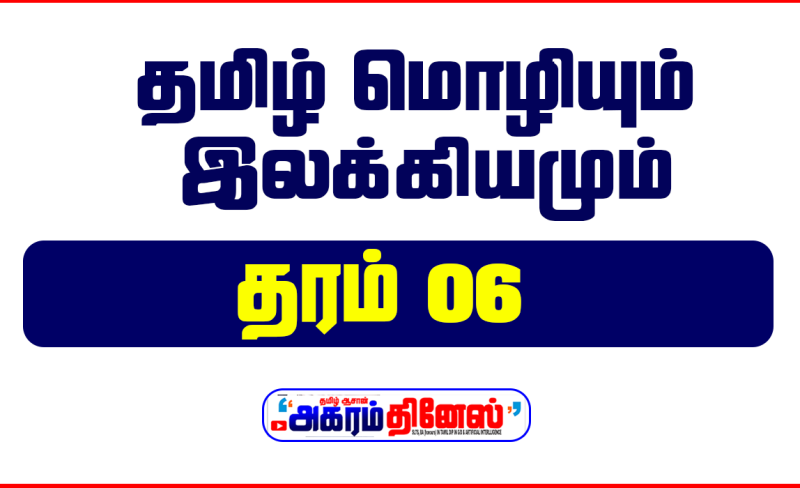 தரம் 06