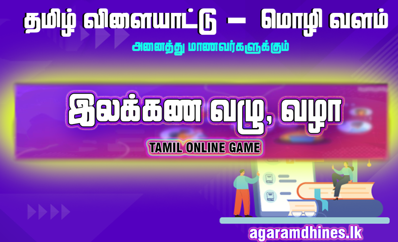 வழு நிலை